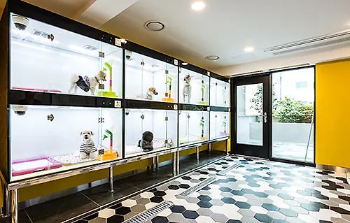 Hotel Sleep With Your Own Pet Only - The Petel Busan