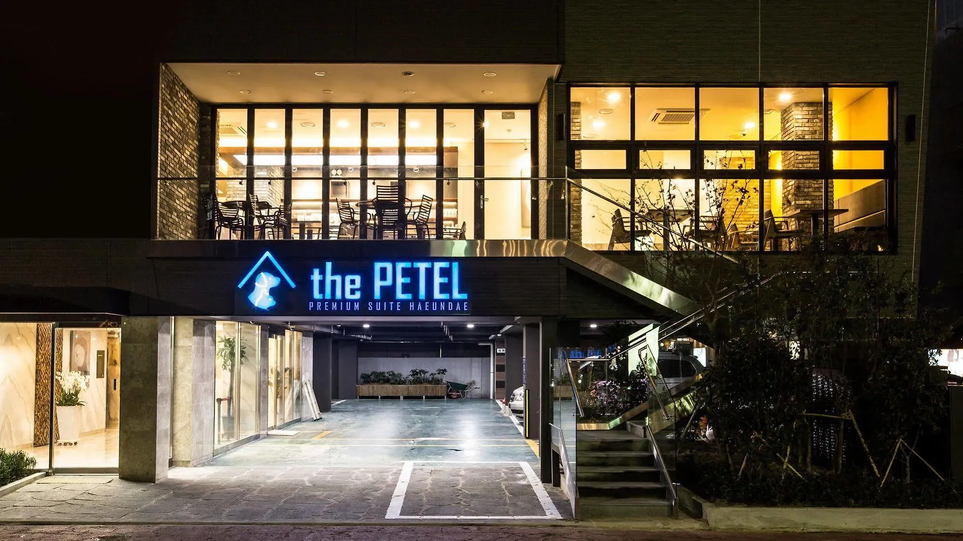 Sleep With Your Own Pet Only - The Petel Busan Hotel