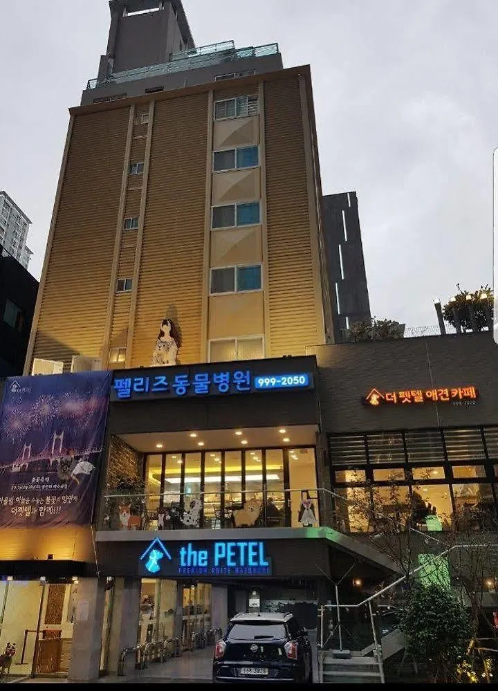 *** Hotel Sleep With Your Own Pet Only - The Petel Busan South Korea