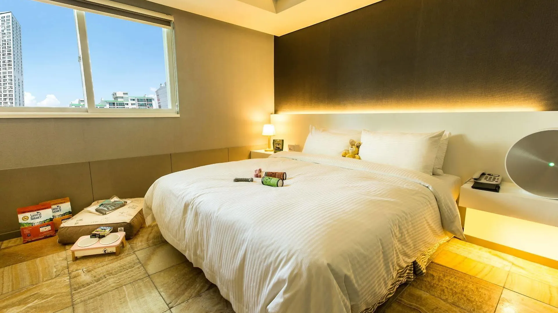 Hotel Sleep With Your Own Pet Only - The Petel Busan